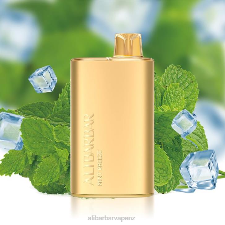Alibarbar Vape Price Mint Breeze - Alibarbar Rich 8000 Disposable Vape P0JB8