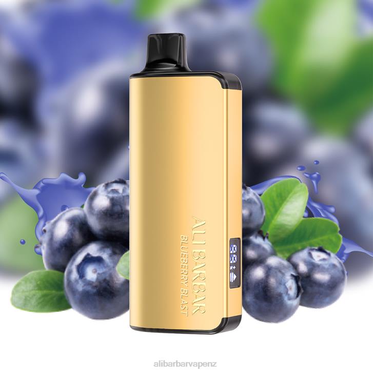 Alibarbar Vape Wellington Blueberry Blast - Alibarbar Ingot 9000 Disposable Vape P0JB15