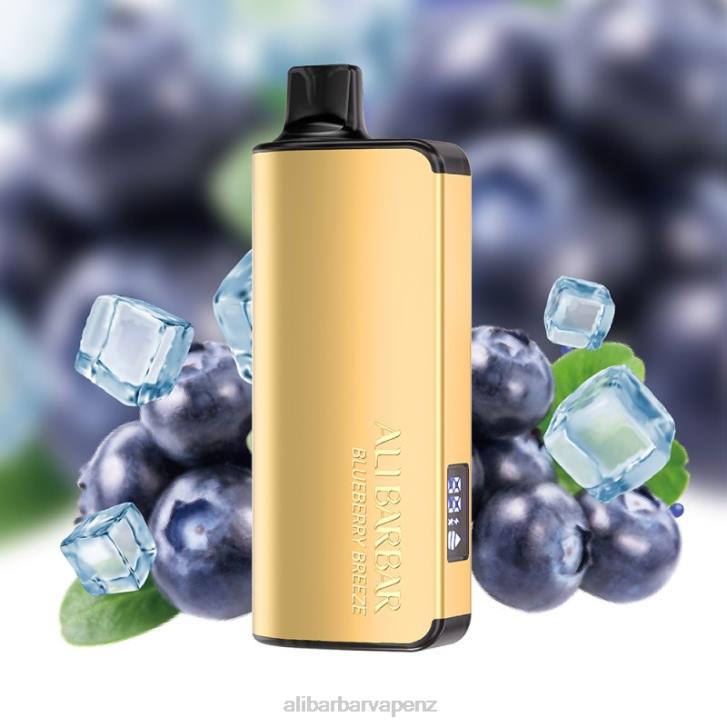 Alibarbar Vape Price Blueberry Breeze - Alibarbar Ingot 20000 Disposable Vape P0JB32